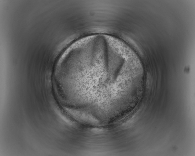 X0000092020394200709271553