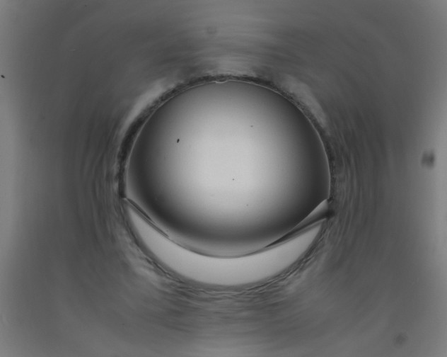 X0000092020395200709271553