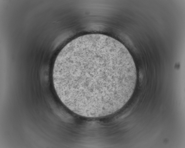 X0000092020396200709271553