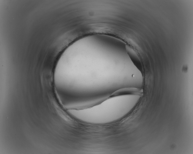 X0000092020397200709271553