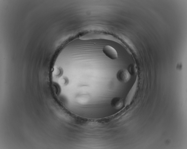 X0000092020399200709271553