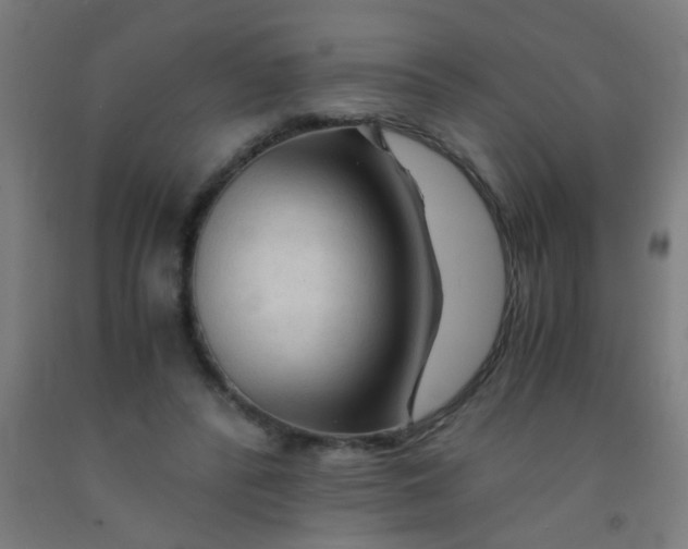 X0000092020400200709271553