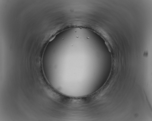 X0000092020401200709271553