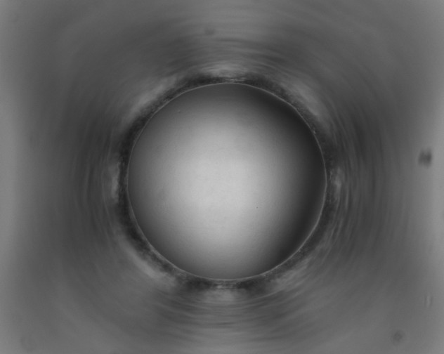 X0000092020404200709271553