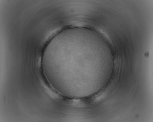 X0000092020406200709271553