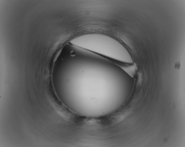 X0000092020407200709271553