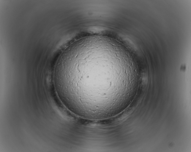 X0000092020408200709271553