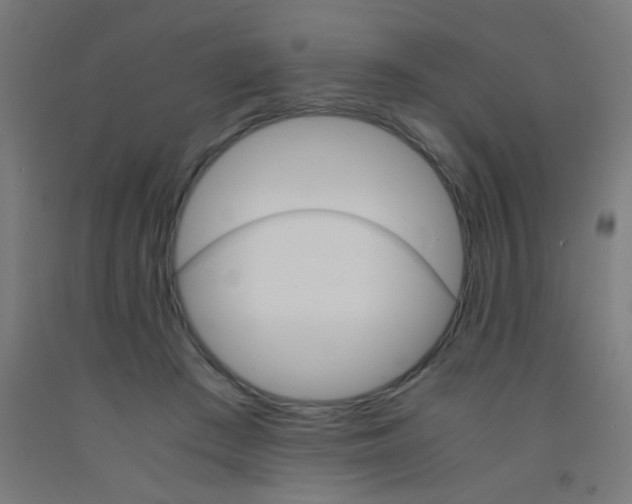 X0000092020409200709271553