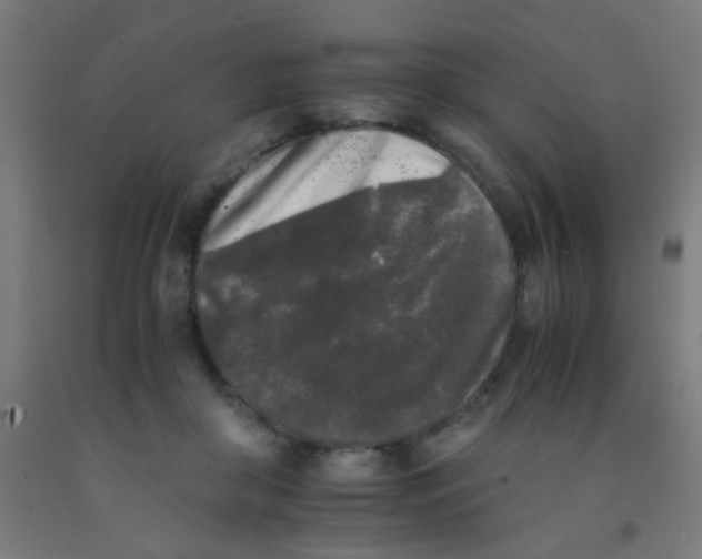 X0000092020410200709271553