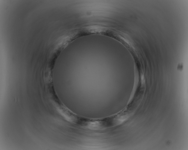 X0000092020411200709271553