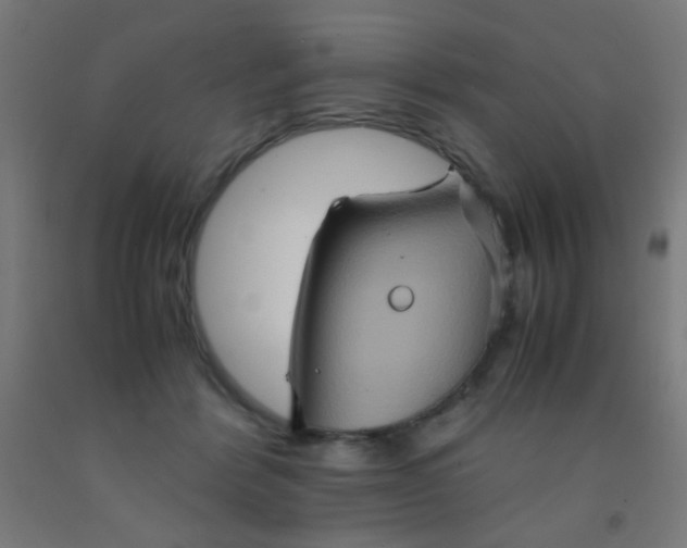 X0000092020412200709271553