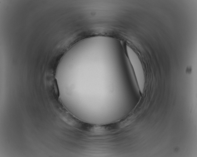 X0000092020413200709271553