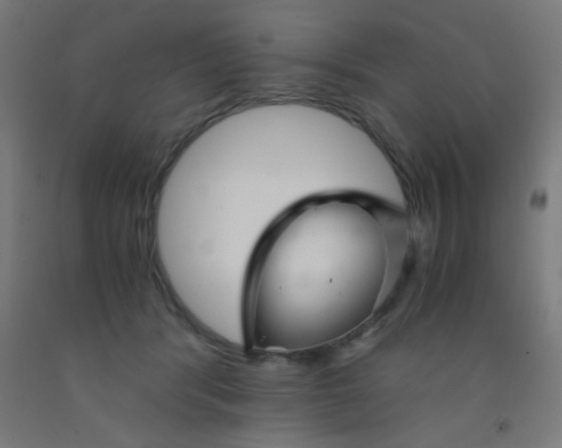 X0000092020416200709271553