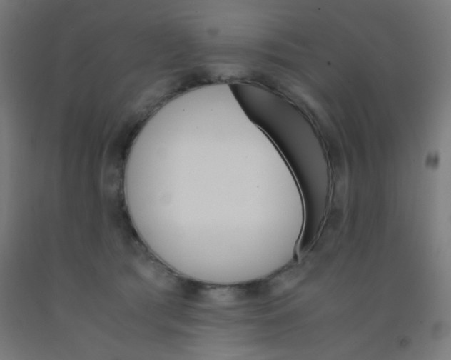 X0000092020417200709271553