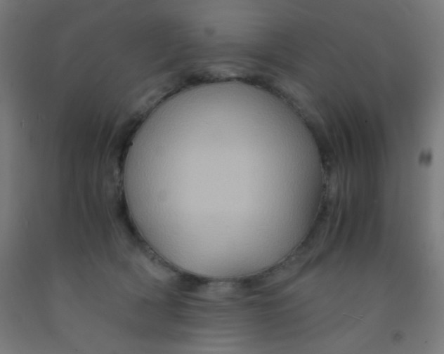 X0000092020418200709271553