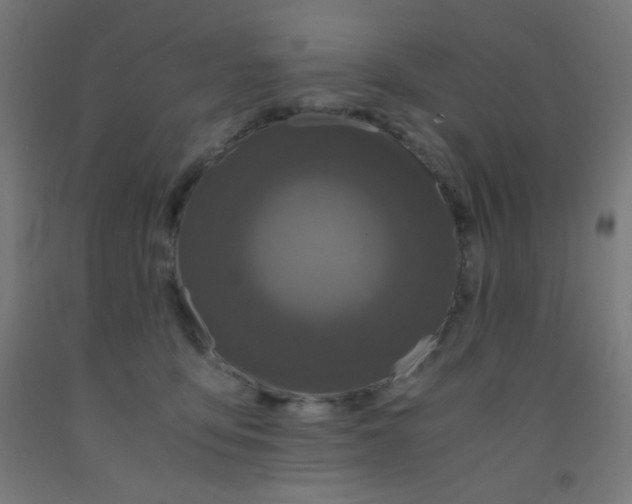 X0000092020419200709271553