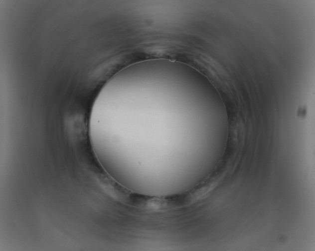 X0000092020420200709271553