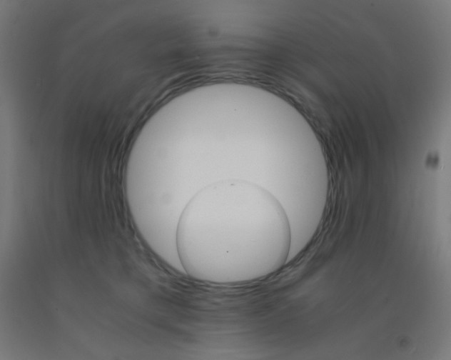 X0000092020421200709271553