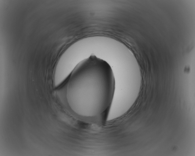 X0000092020423200709271553