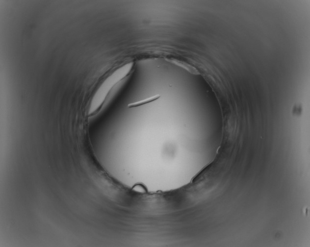 X0000092020424200709271553