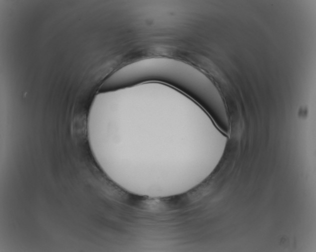 X0000092020425200709271553