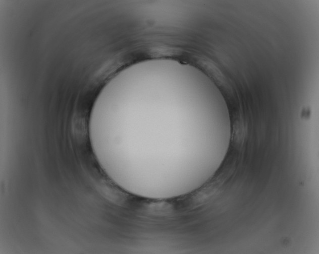 X0000092020426200709271553