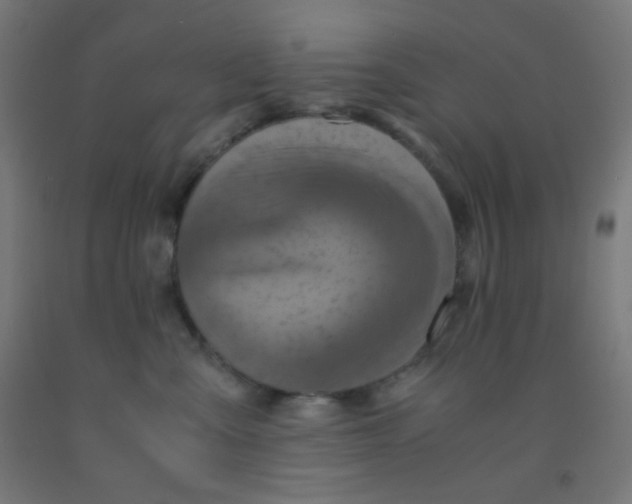 X0000092020427200709271553