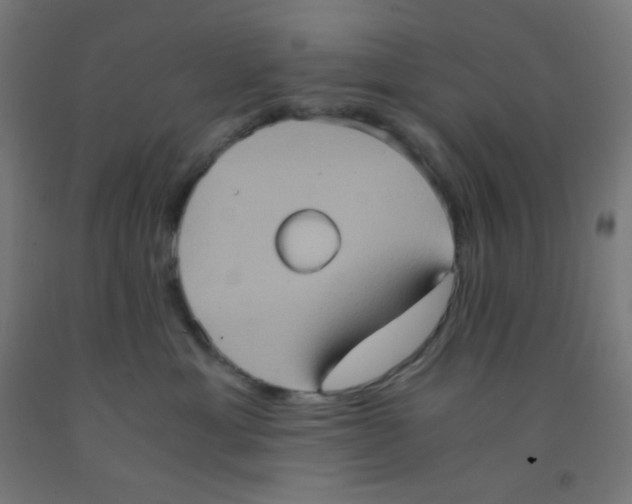 X0000092020429200709271553