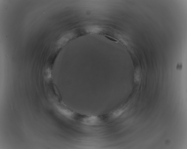 X0000092020431200709271553