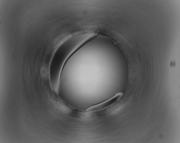 X0000092020432200709271553