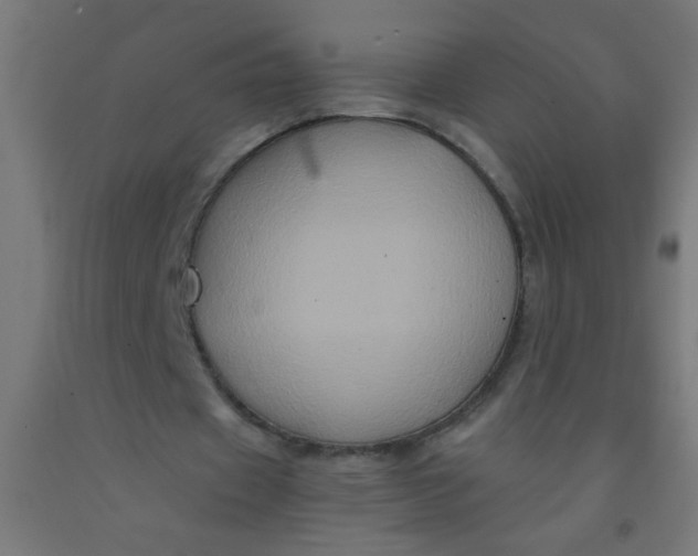 X0000092020433200709271552