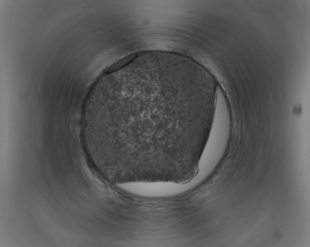 X0000092020434200709271552