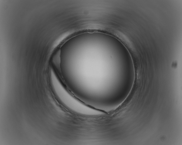 X0000092020436200709271552