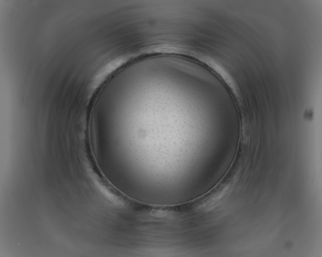 X0000092020437200709271552