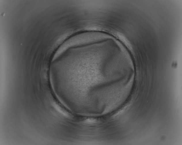 X0000092020441200709271552