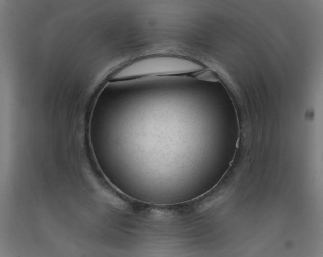 X0000092020442200709271552