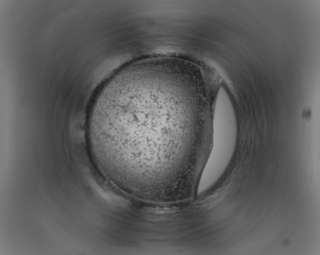 X0000092020443200709271552