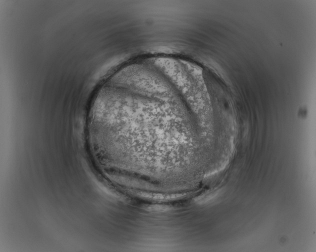 X0000092020444200709271552