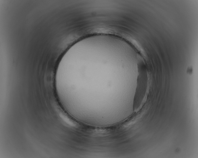 X0000092020445200709271552