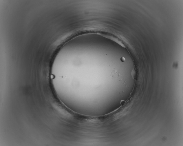 X0000092020446200709271552