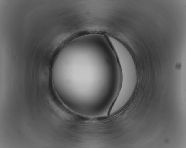 X0000092020448200709271552