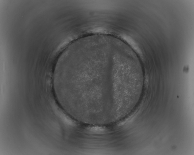 X0000092020449200709271552