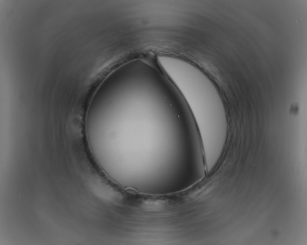 X0000092020450200709271553