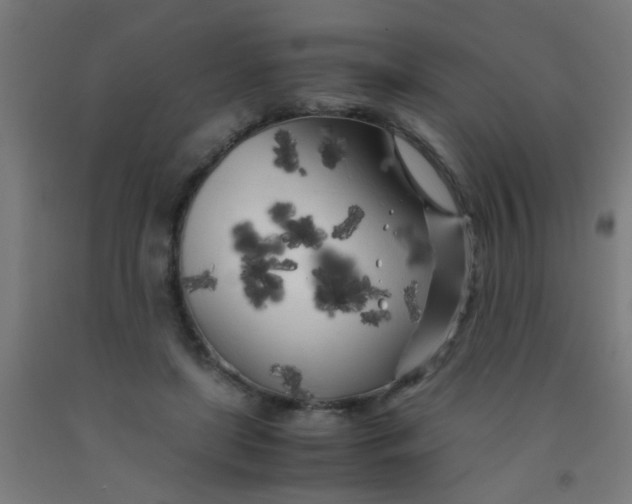 X0000092020451200709271553