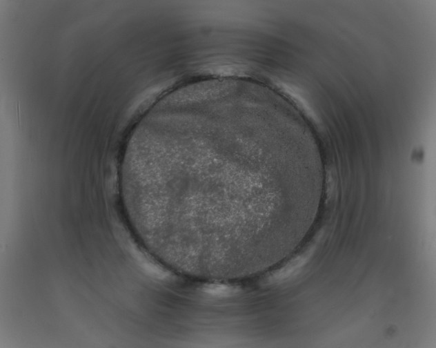 X0000092020453200709271553