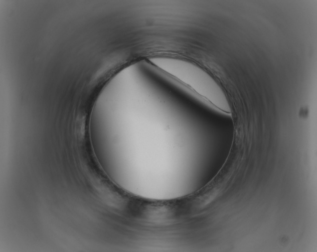 X0000092020454200709271553