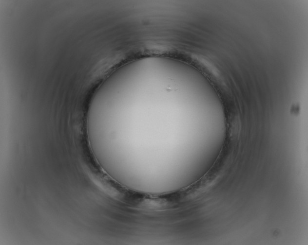 X0000092020455200709271553