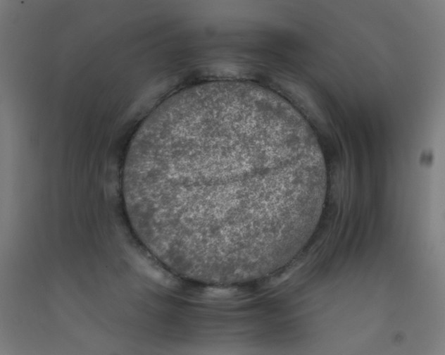 X0000092020457200709271553