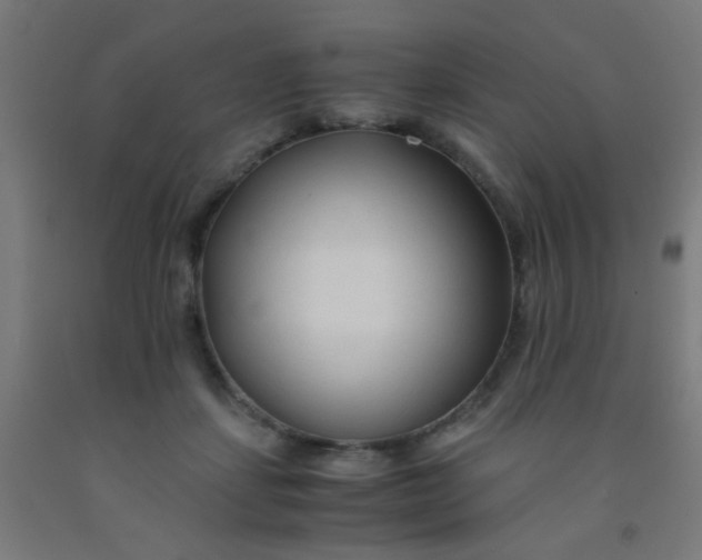 X0000092020459200709271553