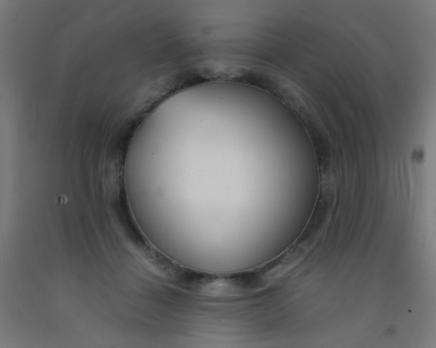 X0000092020460200709271553